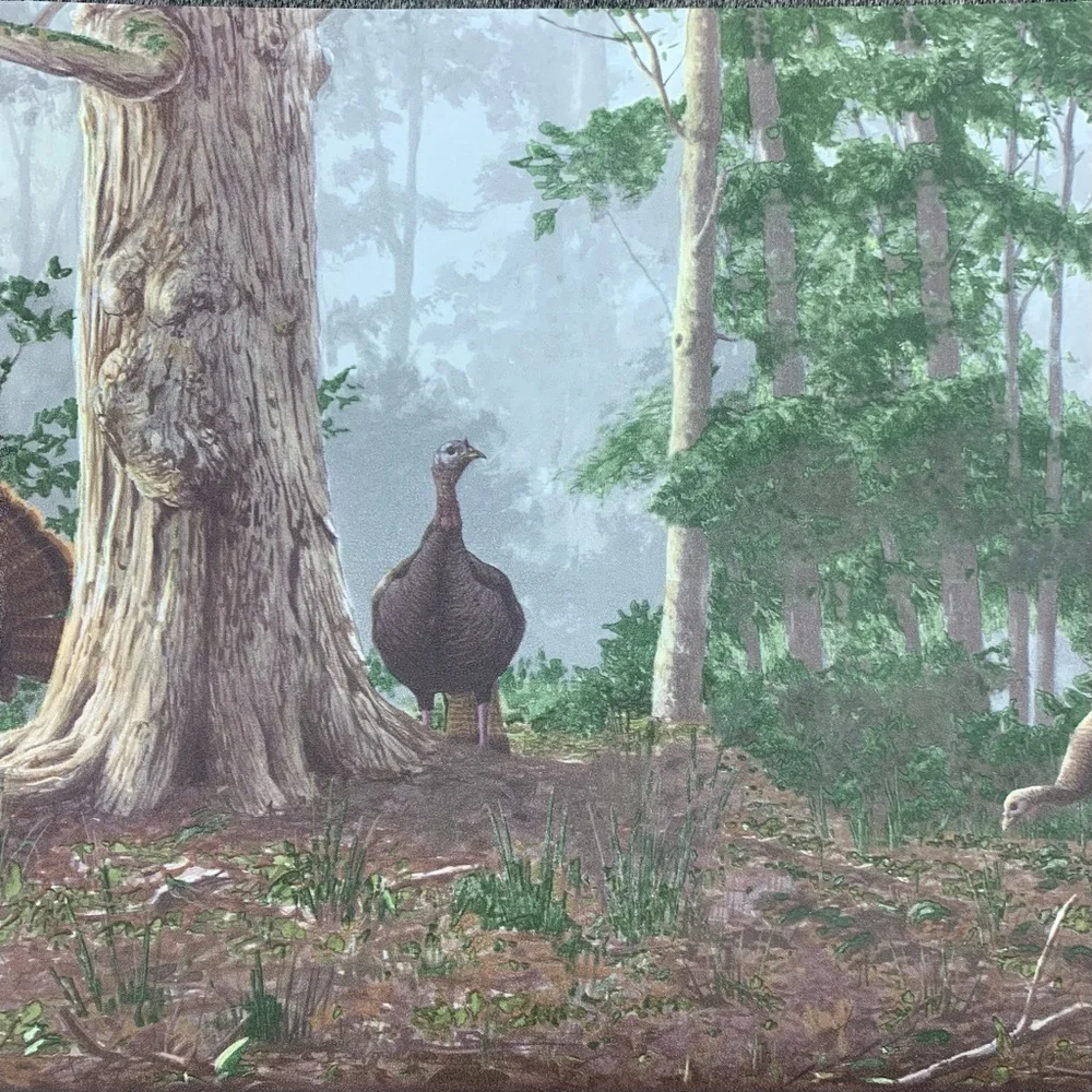 Wild Turkey Border Vintage Wallpaper